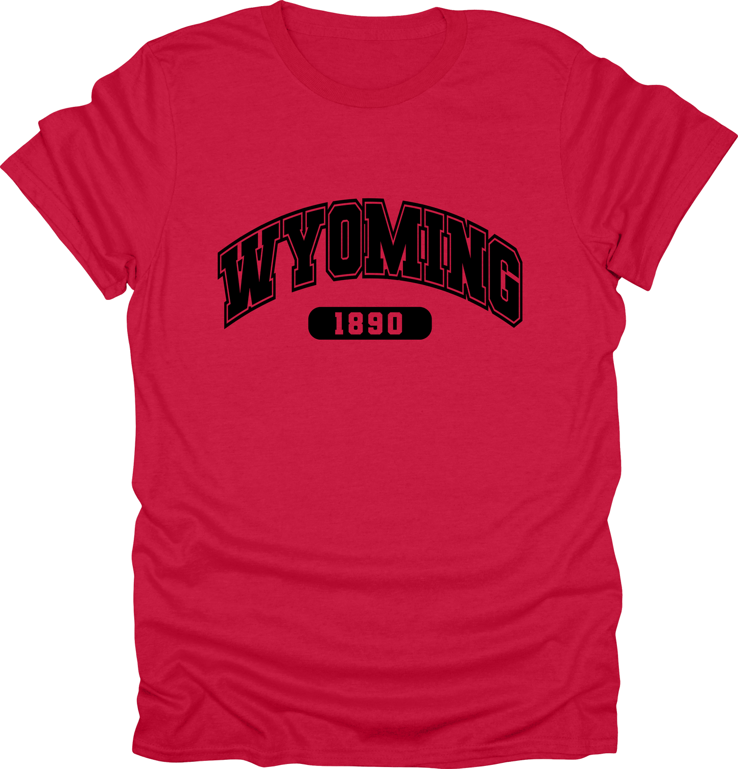Wyoming State Shirts – Est. 1890: Cowboy State Style T-shirt