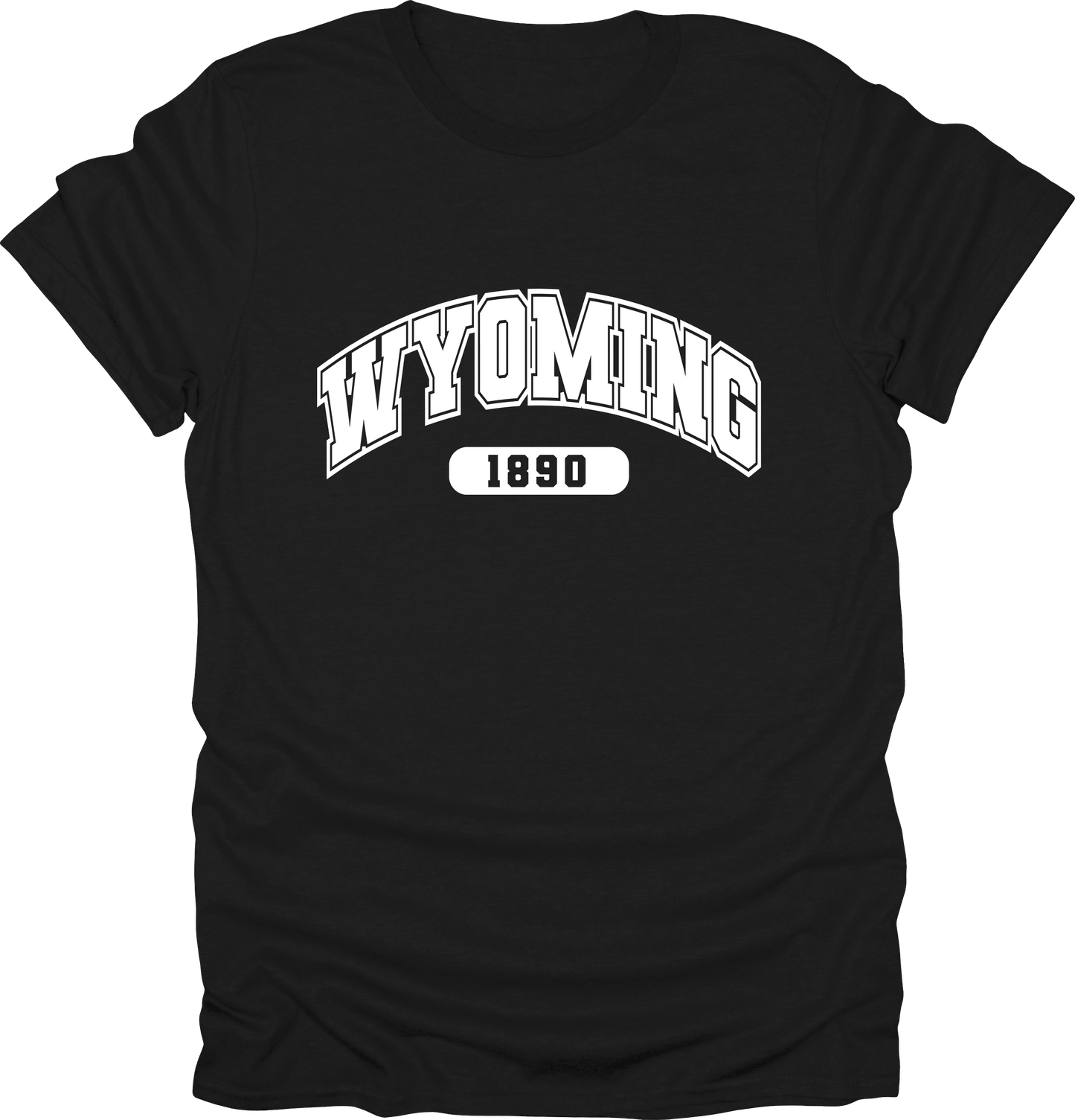 Wyoming State Shirts – Est. 1890: Cowboy State Style T-shirt